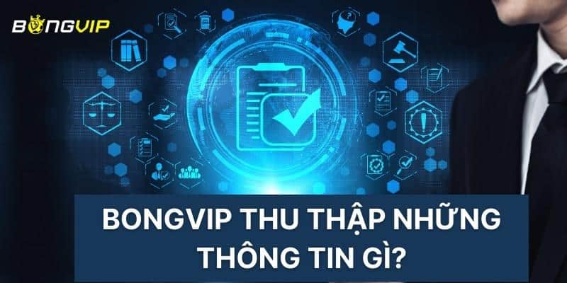 BONGVIP thu thập những thông tin gì?