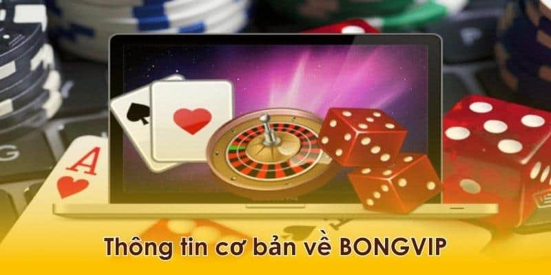 Tìm hiểu kỹ thông tin về BONGVIP